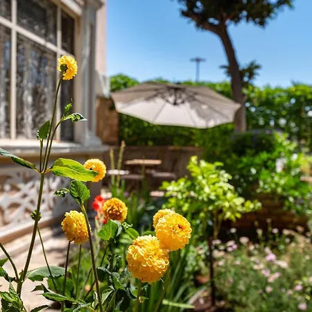 아파트먼트 이다